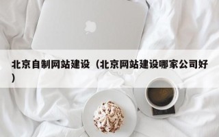 长岭北京自制网站建设（北京网站建设哪家公司好）